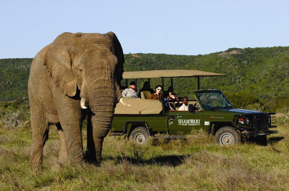 <h2>The Best of South Africa Escorted 2016</h2>13 Nights, 3 on Safari at Shamwari Game Preserve | 5 Rounds | March 2 – 16